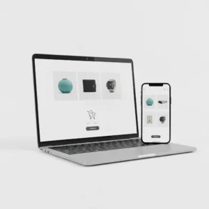 Ecommerce Website Development Package